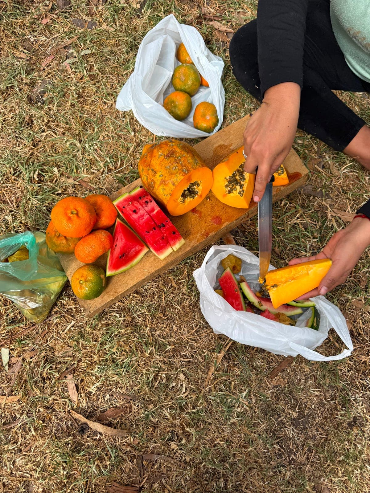 Fresh watermelon, papaya, mango, and oranges laid out on a cutting board on the grass, hands slicing the fruit