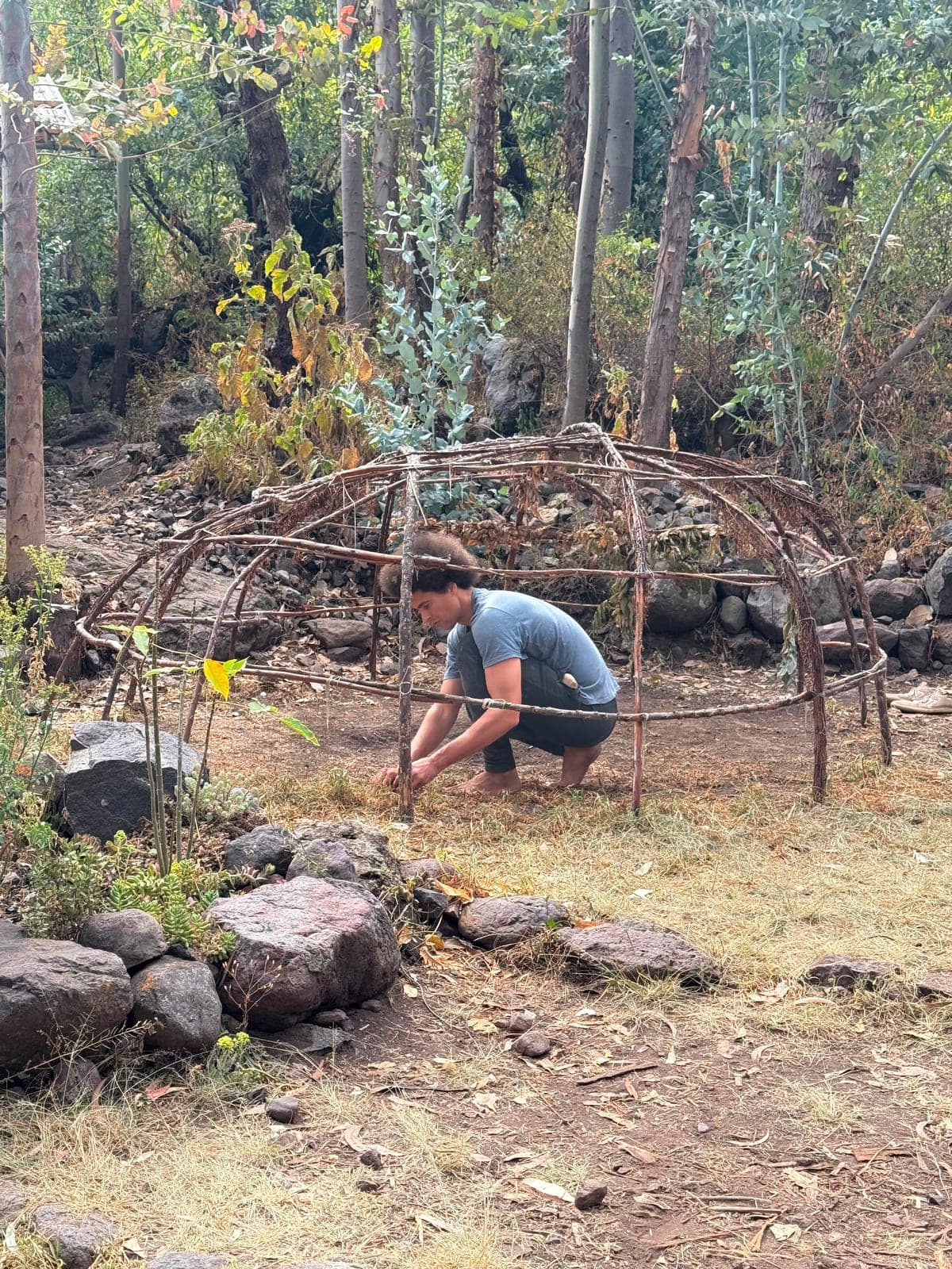 A man crouching to lash together the bent-branch dome frame of a sweat lodge in a wooded clearing