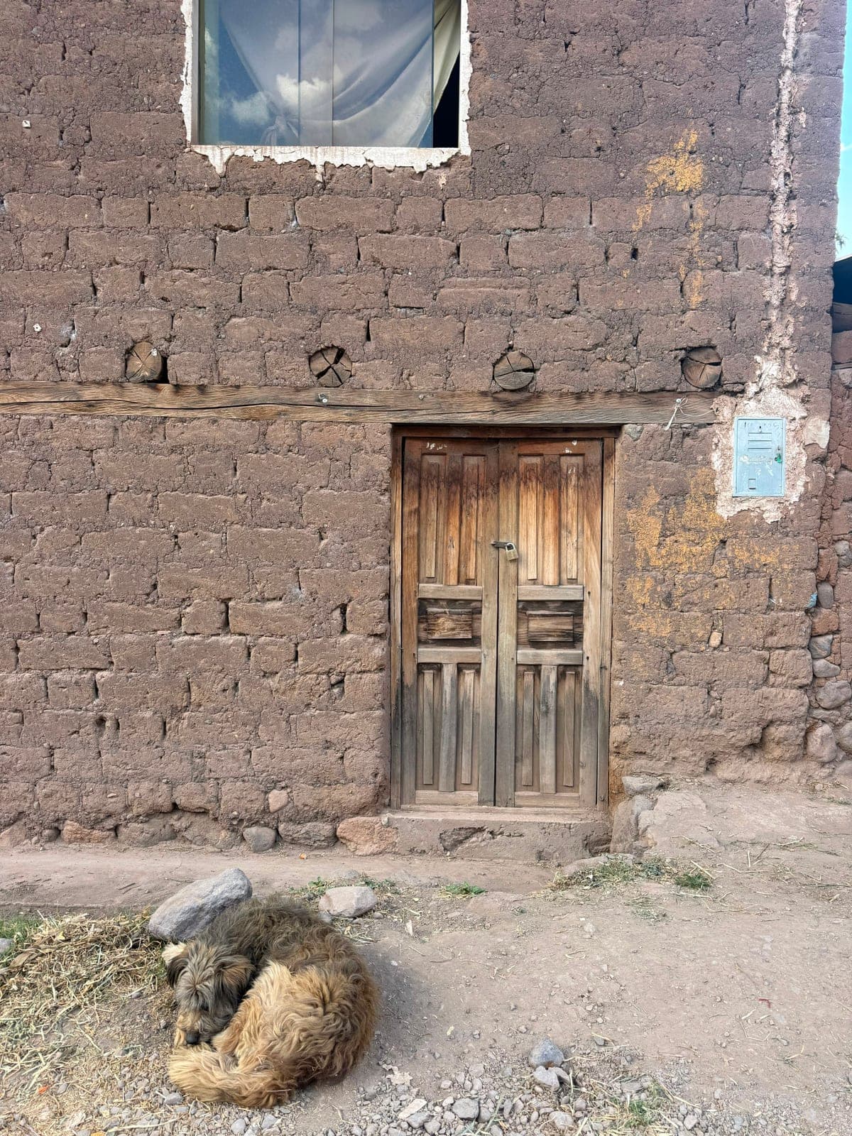 A shaggy dog curled up asleep on the dirt in front of a mud-brick house with a wooden door