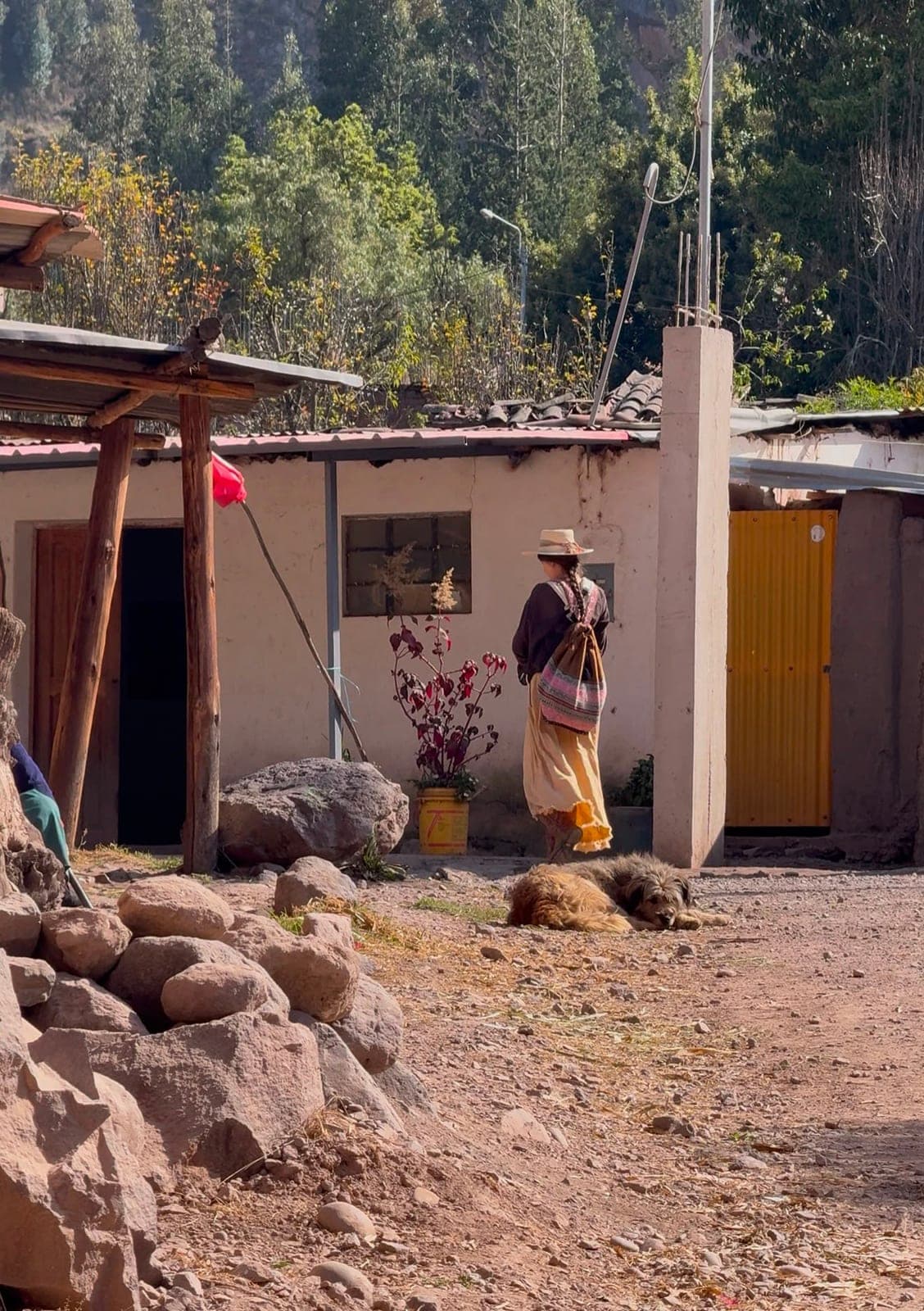 A woman in traditional dress walking past adobe houses in Calca as a dog rests in the dirt road