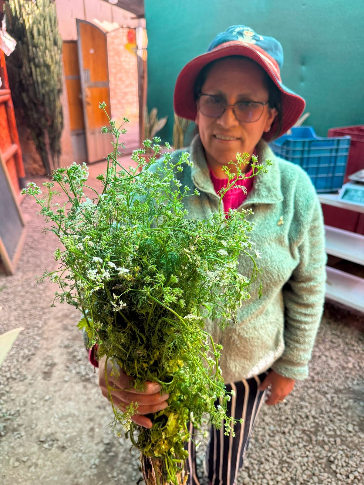A smiling market vendor holding up a large bunch of flowering cilantro