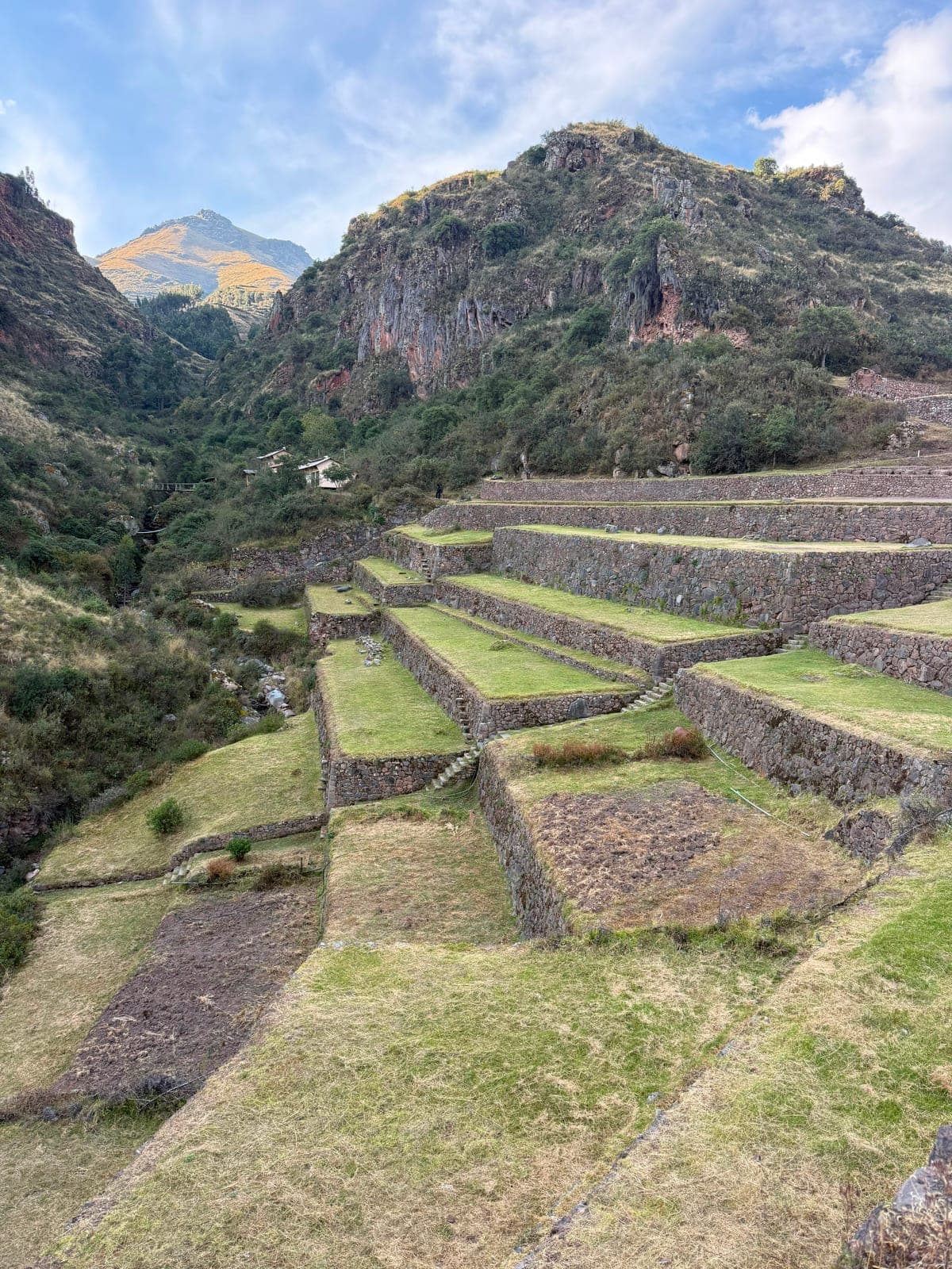 Wide green Inca agricultural terraces stepping down a hillside in the Sacred Valley, mountains all around